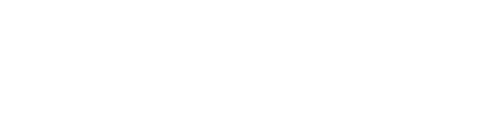 The official logo of Lightspeed Systems